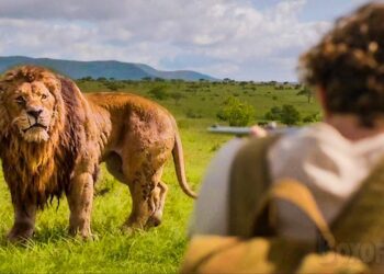 Kraven: The Hunter Hunter Review – A Brutal Descent Into Vengeance and Identity