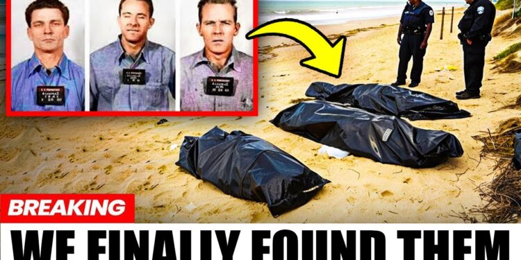 Escape From Alcatraz (2026) – A High-Stakes Reimagining of the Legendary Prison